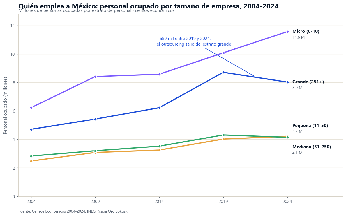 Personal ocupado por tamaño de empresa 2004-2024: la micro llega a 11.6 millones y la grande cae de 8.7 a 8.0 millones entre 2019 y 2024