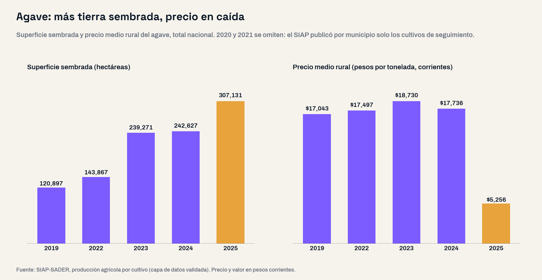 Dos gráficas de barras del agave a nivel nacional: la superficie sembrada sube de 120,897 hectáreas en 2019 a 307,131 en 2025, mientras el precio medio rural se mantiene entre 17 mil y 18,730 pesos por tonelada hasta 2024 y cae a 5,256 pesos en 2025